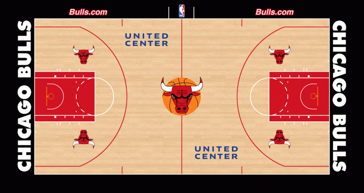 Chicago Bulls mini court